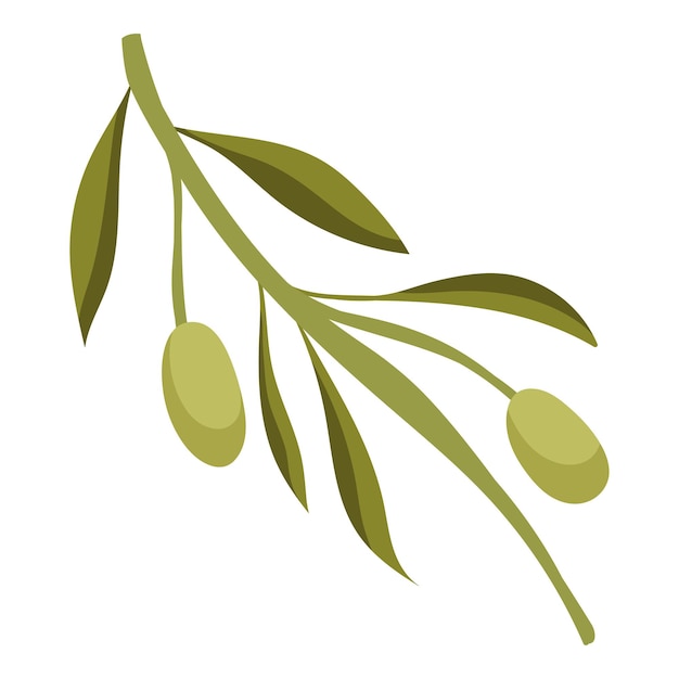 Icono ecológico de aceituna verde fresca aislado