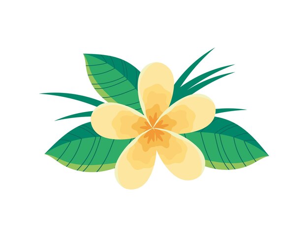 icono de flor y hoja fondo blanco
