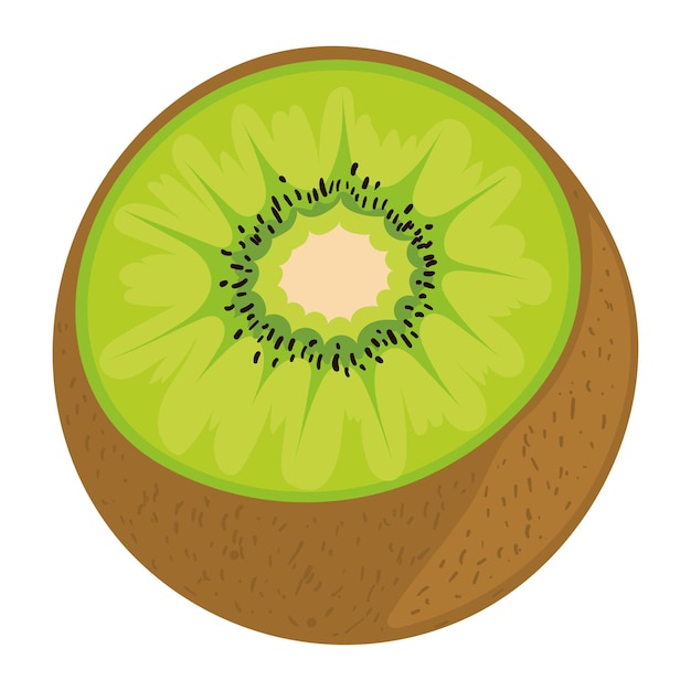 Vector gratuito el icono de la fruta del kiwi