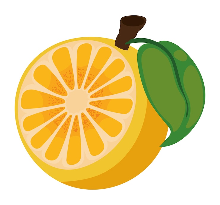 Vector gratuito icono de la fruta de la naranja