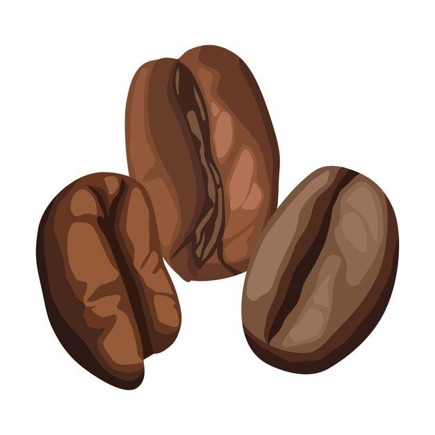 Icono de granos secos de café aislado