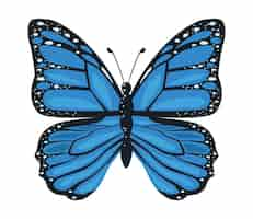 Vector gratuito icono de insecto mariposa de belleza azul