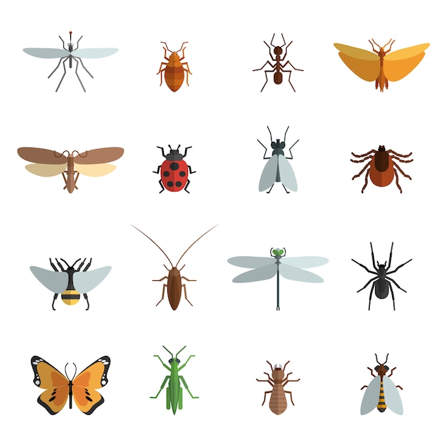 Vector gratuito icono de insecto plano