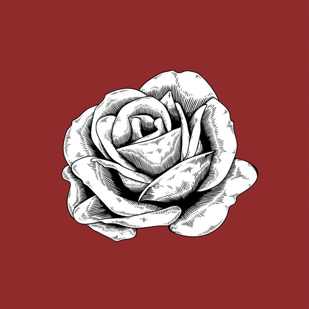 Icono de vector de naturaleza flor rosa dibujo sobre fondo rojo