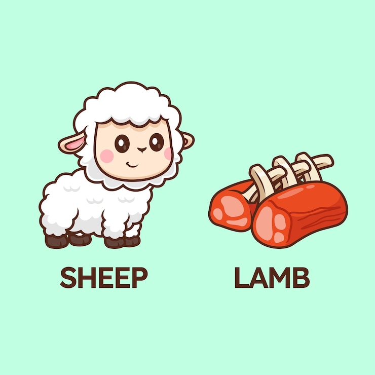 Vector gratuito icono vectorial de dibujos animados de ovejas y corderos, ilustración, icono de alimentos para animales, vector plano aislado