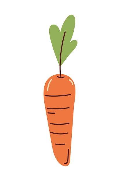 Vector gratuito icono de verdura de zanahoria aislado fondo blanco