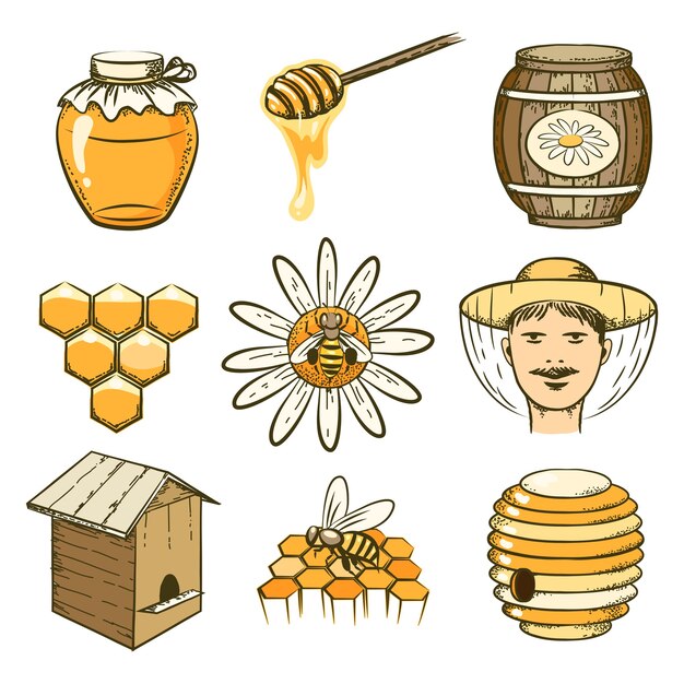 iconos de apicultura, miel y abejas dibujados a mano. Alimento dulce, insecto y celular, barril y panal