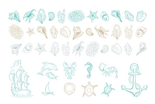Iconos de arte de línea marina, conchas de mar y playa
