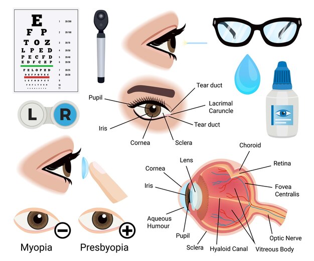 Iconos para el cuidado de los ojos con símbolos de miopía y presbicia ilustración vectorial aislada plana