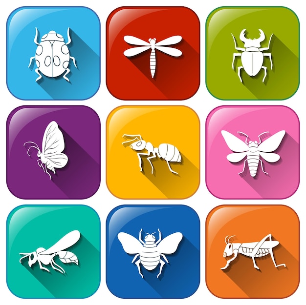 Iconos con insectos