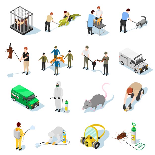 Iconos isométricos de control de plagas