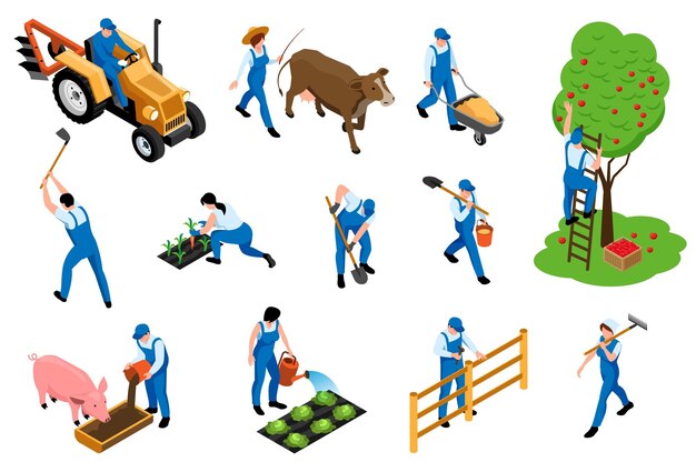 Los iconos isométricos de los deberes de los agricultores se establecen con la cría de ganado lechero, la alimentación de cerdos, la cosecha de huertos, la siembra de plántulas, la ilustración vectorial