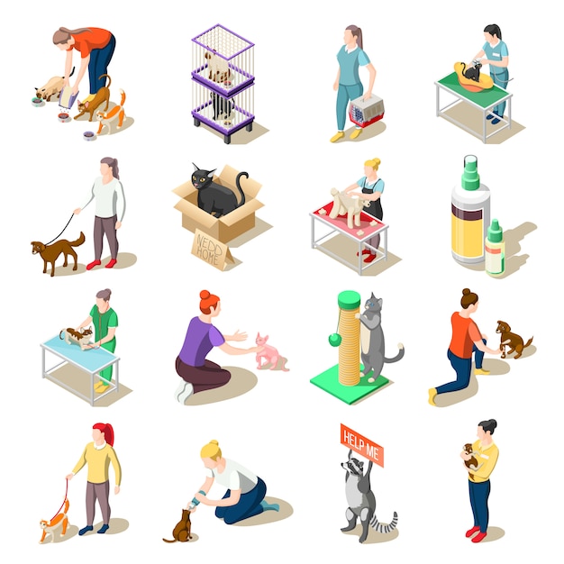 Iconos isométricos de voluntarios de cuidado de animales