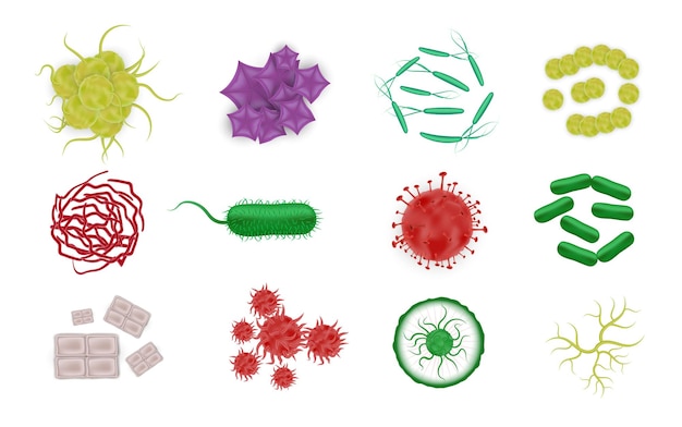 Iconos realistas de formas de bacterias