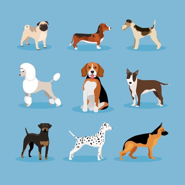 Iconos vectoriales perros conjunto aislado sobre fondo azul.