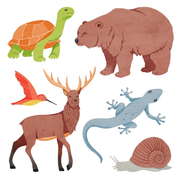 Ilustración acuarela de animales salvajes