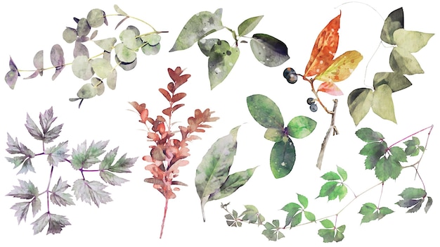 Vector gratuito ilustración acuarela dibujada a mano de hojas de rama abstracta