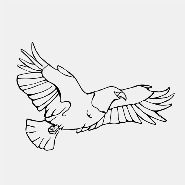 Ilustración de águila voladora