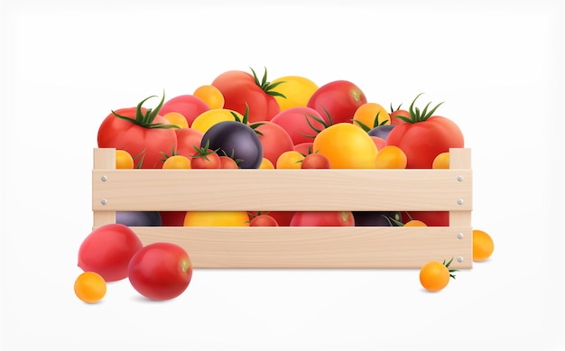 Ilustración aislada realista de la caja de tomates