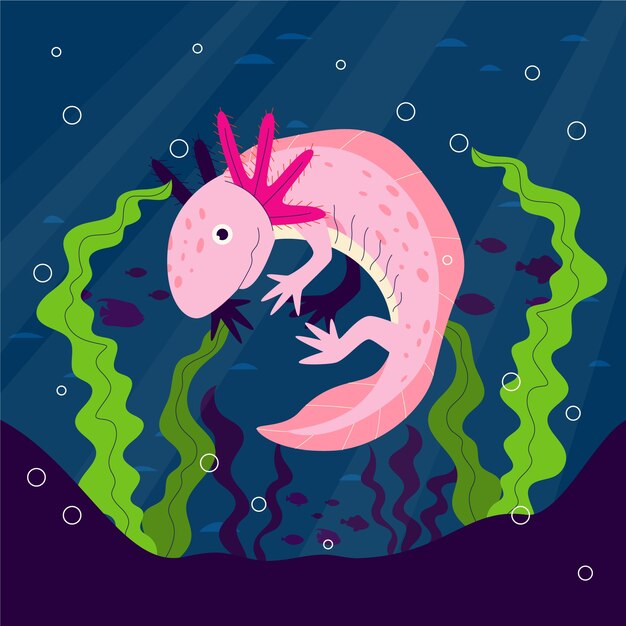 Ilustración de ajolote de diseño plano dibujado a mano