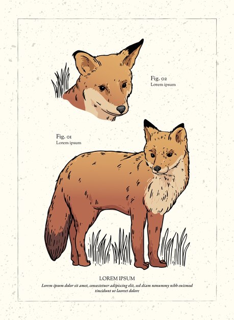 Ilustración animal retro dibujada a mano