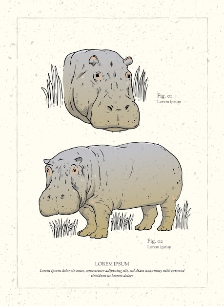 Ilustración animal retro dibujada a mano
