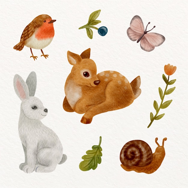 Ilustración de animales del bosque acuarela