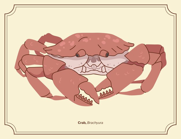 Ilustración de animales dibujada a mano retrógrada