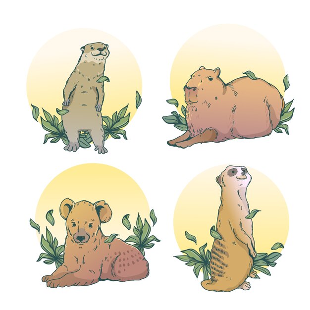 Ilustración de animales salvajes dibujados a mano