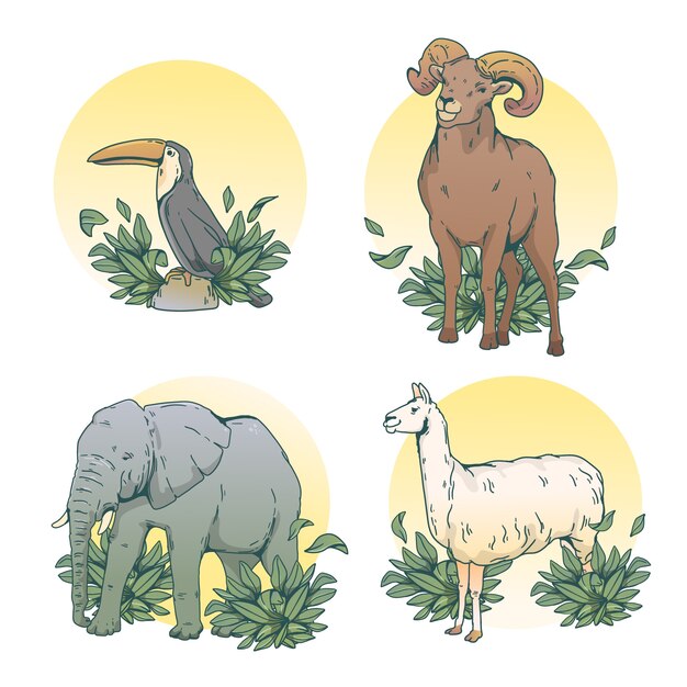 Ilustración de animales salvajes dibujados a mano