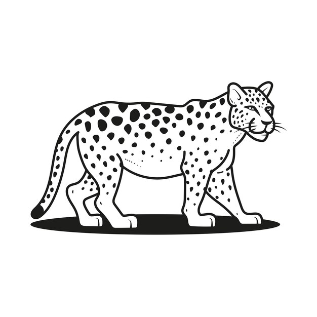 Ilustración de animales del zoológico dibujados a mano