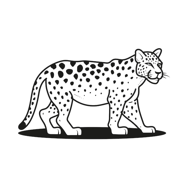 Ilustración de animales del zoológico dibujados a mano