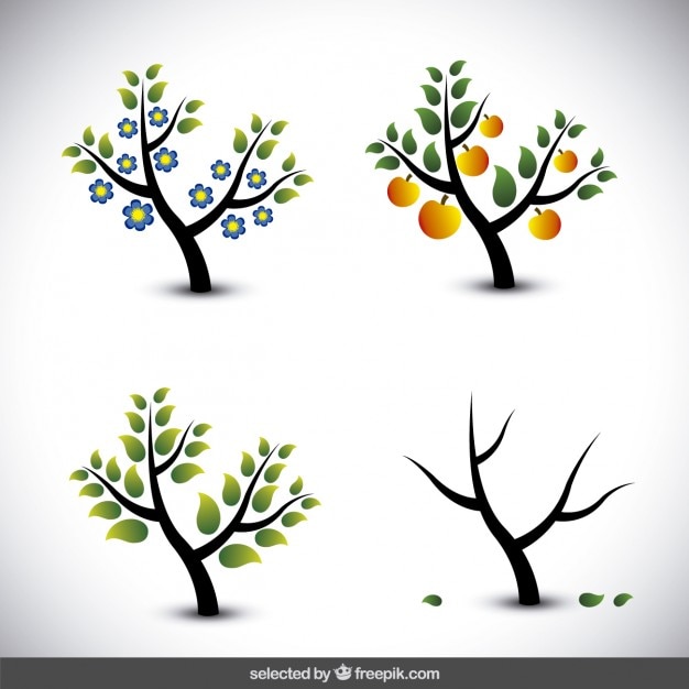 Ilustración de árbol en diferentes estaciones