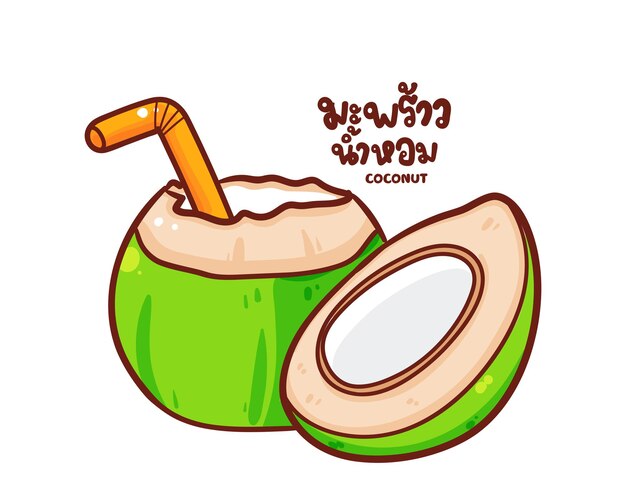 Ilustración de arte de dibujos animados dibujados a mano de logotipo de fruta orgánica de jugo de coco