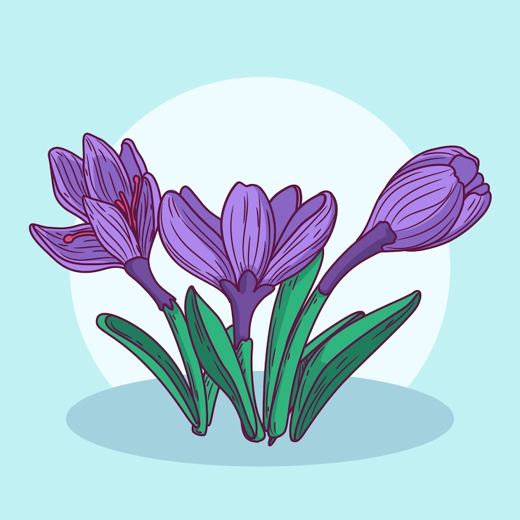 Vector gratuito ilustración de azafrán de diseño plano dibujado a mano