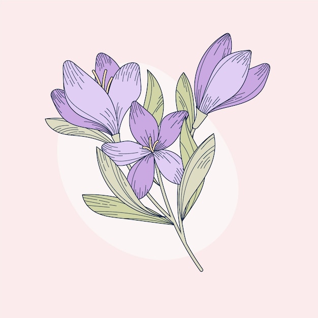 Ilustración de azafrán de diseño plano