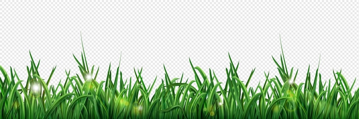 Vector gratuito ilustración de borde de césped de hierba verde aislado
