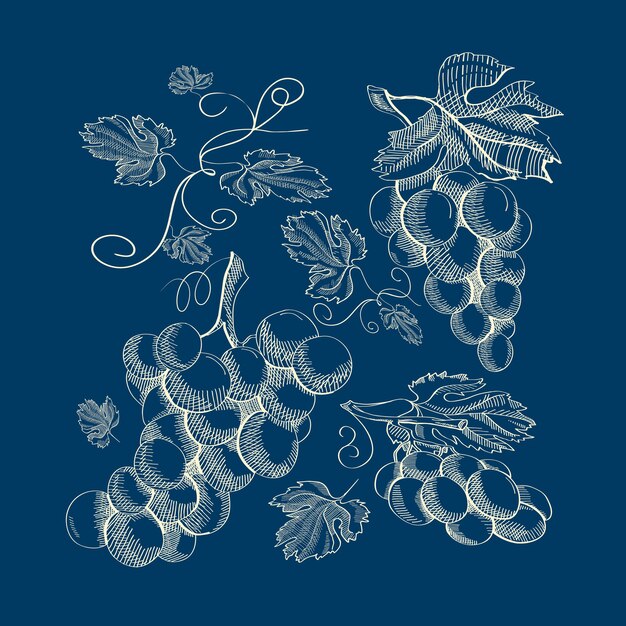 Ilustración botánica abstracta azul vintage