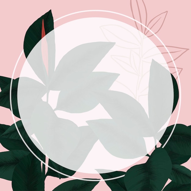 Ilustración botánica de la hoja tropical de la planta de goma del vector del marco