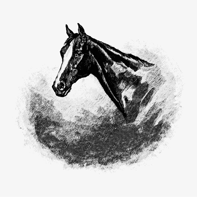Ilustración de la cabeza de caballo de la vendimia