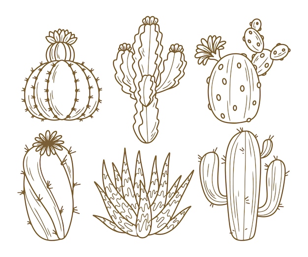 Ilustración de cactus dibujado a mano