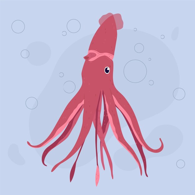 Ilustración de calamar dibujado a mano