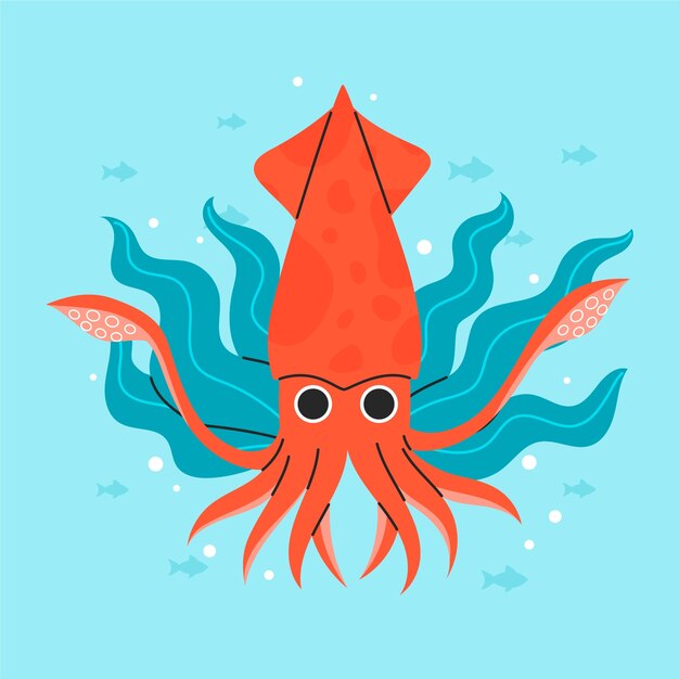 Ilustración de calamar dibujado a mano