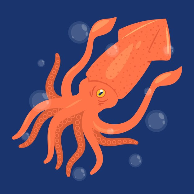 Ilustración de calamar dibujado a mano