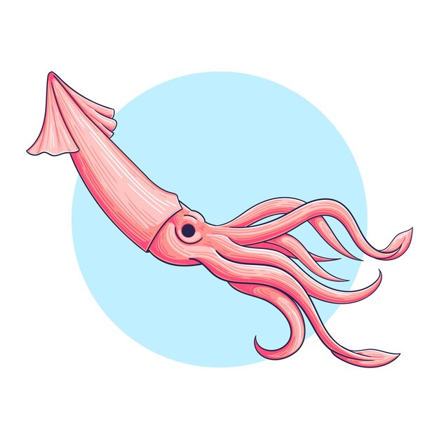 Ilustración de calamar dibujado a mano