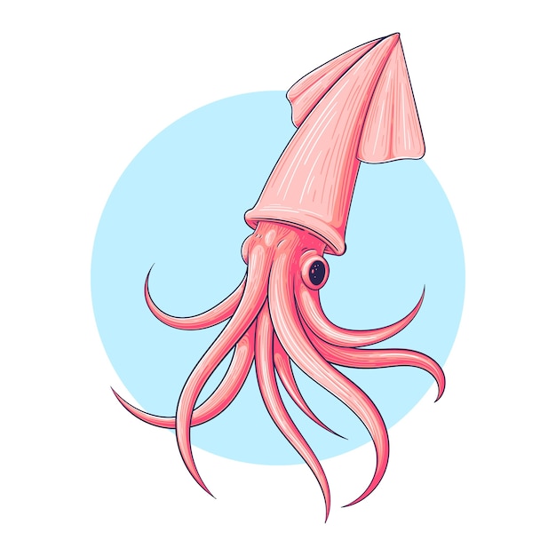 Ilustración de calamar dibujado a mano