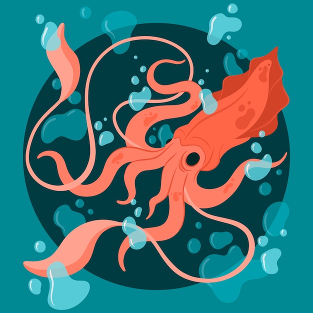 Ilustración de calamar dibujado a mano