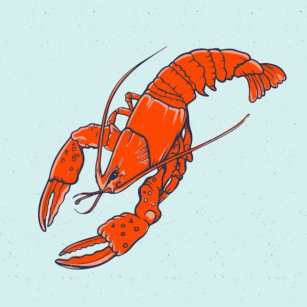 Ilustración de cangrejo dibujada a mano