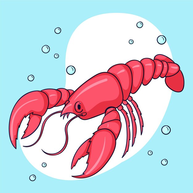 Ilustración de cangrejo marino dibujado
