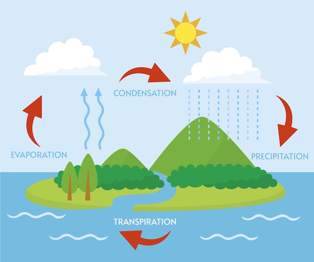Ilustración del ciclo del agua de diseño plano